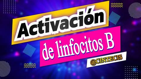 Activación de linfocitos B - YouTube