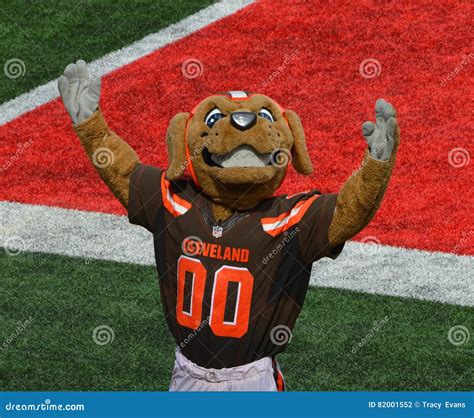 Chomps NFL Mascot the Cleveland Browns Editorial Photography - Image of ...