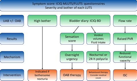 Implications of Underactive Bladder Syndrome for Nocturia. Do We Need Urodynamic Assessment ...