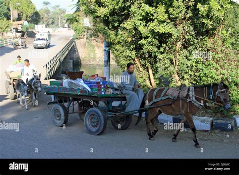 River Nile Cruise scenes Stock Photo - Alamy