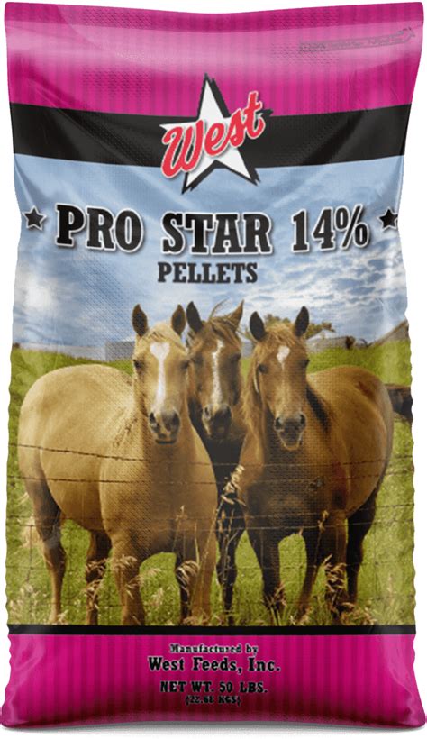 Horse Feed and Supplement Products | West Feeds, Inc.