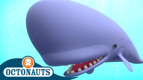 @Octonauts - The Scared Sperm Whale 🐋 | Series 2 | Full Episode 10 | Cartoons for Kids - YouTube