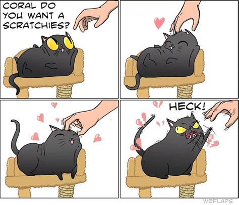 30 Comics That Show What Living With A Cat Is Really Like | Bored Panda