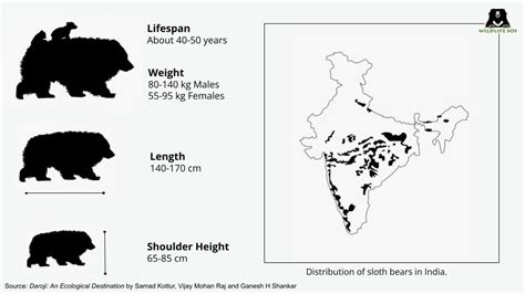 The Sloth Bear Habitat - Wildlife SOS