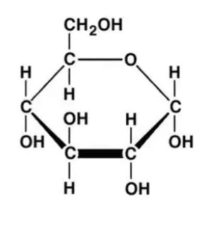 Establish the structure of D-Glucose. Explain with structure. - askIITians