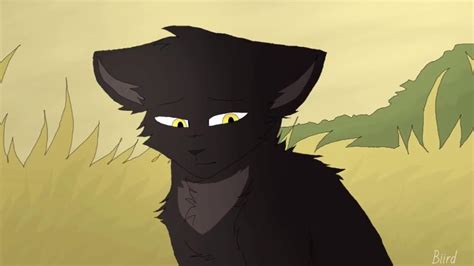 Battles Scars- Warrior Cats Animash- Nightcloud, Breezepelt, Hollyleaf, and Crowfeather - YouTube