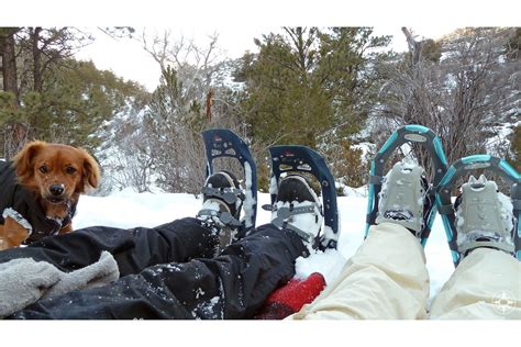 What's So Great About Snowshoeing Anyway? | Snow shoes, Rocky mountain national park, Dog travel