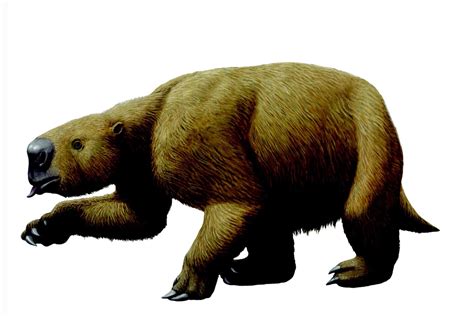 Glossotherium crop – Blogs from the Natural History Museum