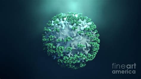 Antibodies Attacking Cancer Cell Photograph by Design Cells/science ...