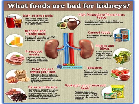 Diet in Kidney Disease - What to Eat? Dr. Kavitha Explains