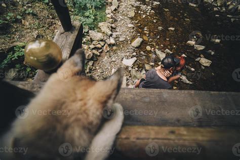 beautiful couple on the background of forest 11744626 Stock Photo at Vecteezy