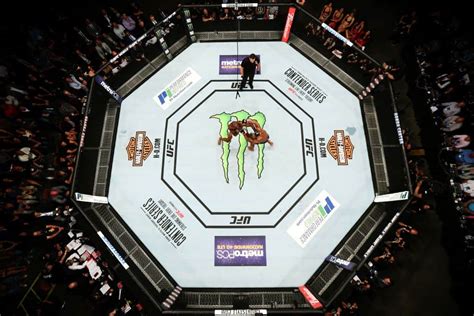 MMA ve UFC Ringi Octagon Nedir? | S Sport Plus