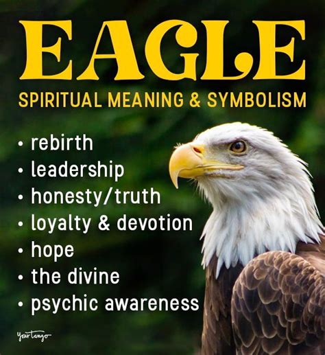 Eagle Symbolism & The Spiritual Meaning Of Seeing Eagles | Spiritual meaning, Eagle symbol, Eagle