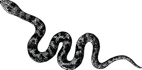 Free Clipart Of A Snake