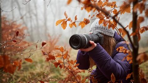 Mastering Autumn's Palette: A Comprehensive Guide to Fall Photography ...