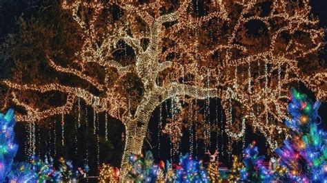 Top 10 best christmas decorations in los angeles to get you in the ...