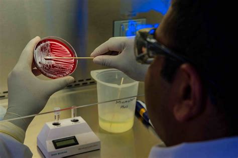 Improve Your Microbiology Lab Experiments: Tips for Avoiding Common Sources of Errors