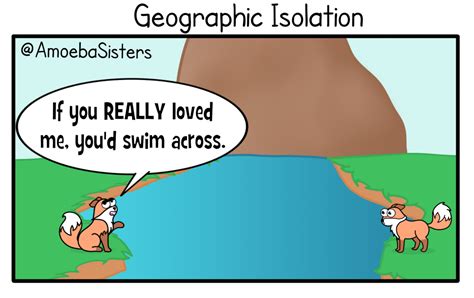 All of these reproductive isolation types can lead to speciation! (3 of 3) #biology #science ...