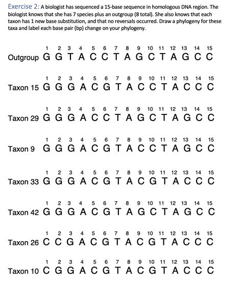 Solved Exercise 2: A biologist has sequenced a 15-base | Chegg.com