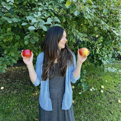 When to pick apples 🍎 🗓 Ensure the freshest and juiciest harvest