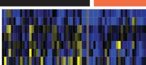 The effects of LCD on the ADT-affected androsterone sulfate and related... | Download Scientific ...