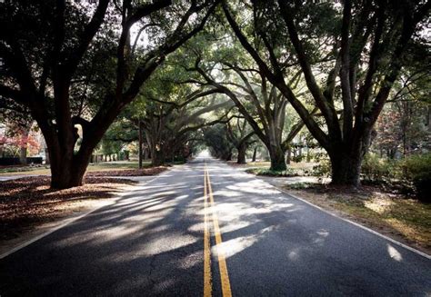 26 Best & Fun Things to Do in Aiken (SC) - The Tourist Checklist