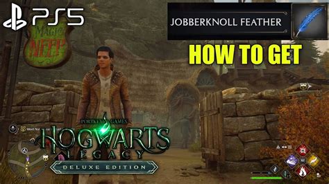 How to Get Jobberknoll Feather HOGWARTS LEGACY Jobberknoll Feather Location | Hogwarts Legacy ...