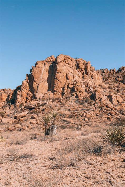 The Ultimate Big Bend National Park Hiking Guide - The Wandering Queen