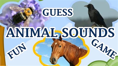 Animal Sounds, Guess The Animal By The Sound, A Fun Game For Kids - YouTube