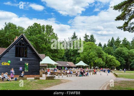 Cafe at High Lodge Visitors Centre in Thetford Forest, Norfolk Stock Photo, Royalty Free Image ...