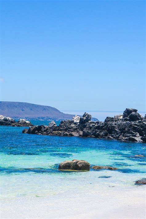 Beautiful beach at Bahia Inglesa, Chile in 2024 | Chile travel, South america travel, America travel