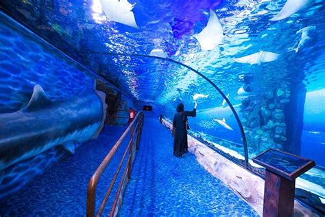 2023 Dubai Aquarium and Underwater Zoo Admission Ticket