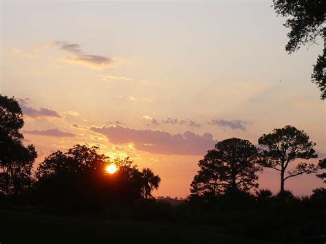 Fripp Island Golf Course Photograph by Stella Schaefer | Fine Art America