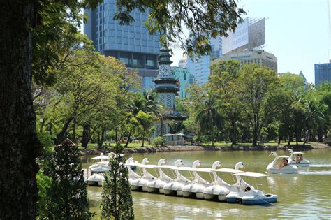 Lumpini Park: El pulmón de Bangkok (2019)