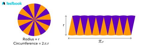 Area of a Circle Definition & Formula using Diameter & Circumference