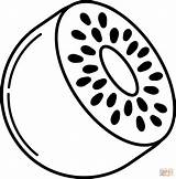 Kiwi Coloring Page  Free Printable Coloring Pages sketch template