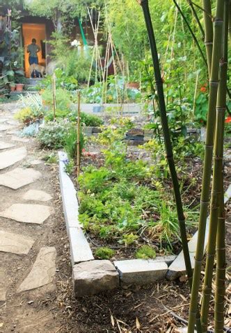 DryStoneGarden » Blog Archive » Garden Projects