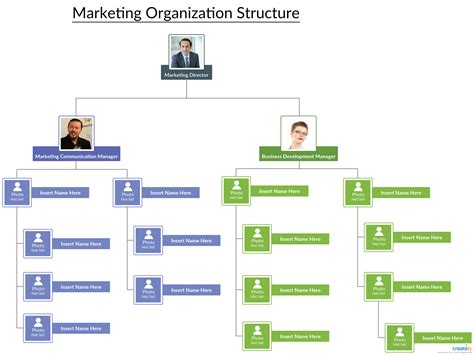 Marketing Organizational Structure | Org chart, Organizational ...