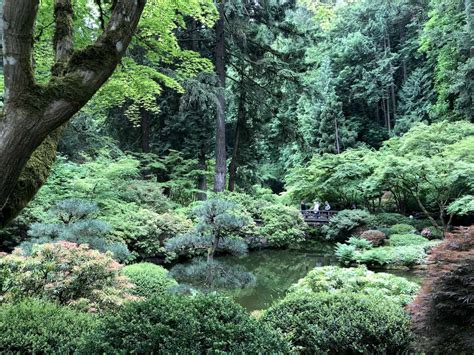 Find your zen at the Portland Japanese Garden with kids - To & Fro Fam