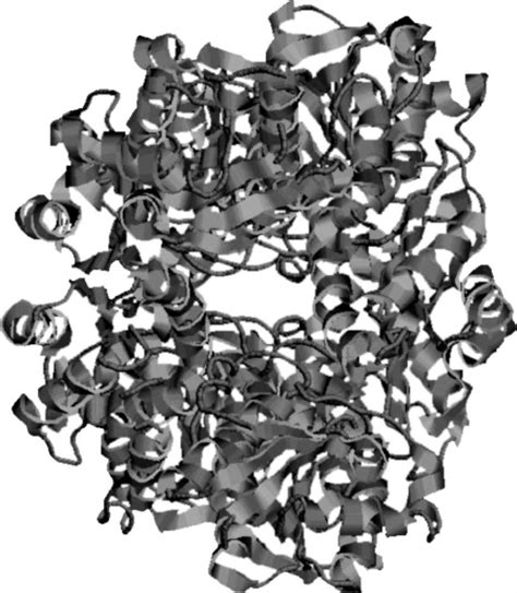 Structure of the hexokinase as solved by X-ray. | Download Scientific Diagram