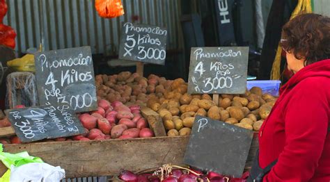 Precio de la papa: vinculan alza a escasez de siembra y daños en los ...