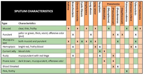 Sputum Characteristics | Respiratory care, Nursing labs, Respiratory therapy