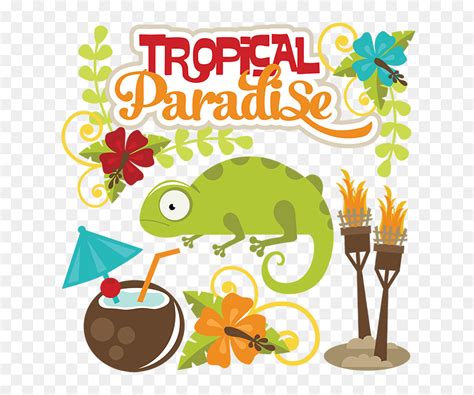 Tropical Svg Files, HD Png Download - vhv