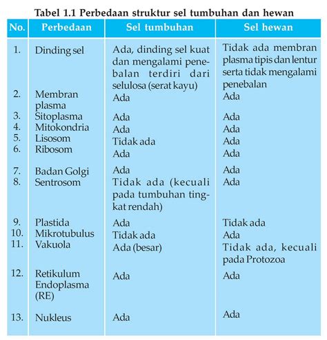 Perbedaan Dan Persamaan Sel Hewan Dan Sel Tumbuhan 2023 Pengayaan Com - Riset