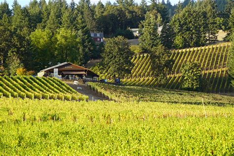 Newberg Countryside Wineries - WineryHunt Oregon