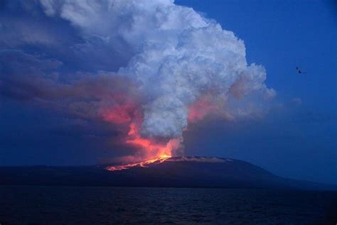 IMÁGENES: El volcán Wolf en las Galápagos entra en erupción de manera ...