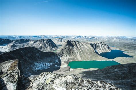 The Queen of Dovrefjell - Visit Dovre