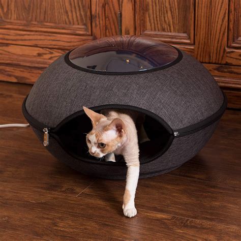 Heated Cat Pod With Lookout Window | The Green Head