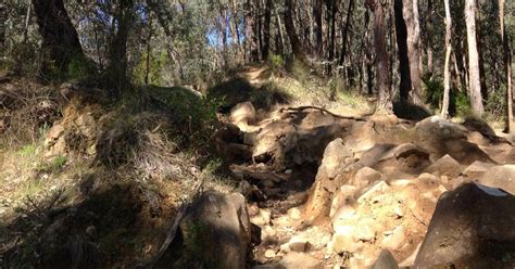 Glasgow Track (2.1km) - Mount Dandenong, VIC