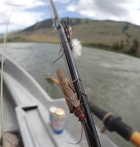 Yellowstone River Fly Fishing Guides | Bozeman Fishing Outfitters